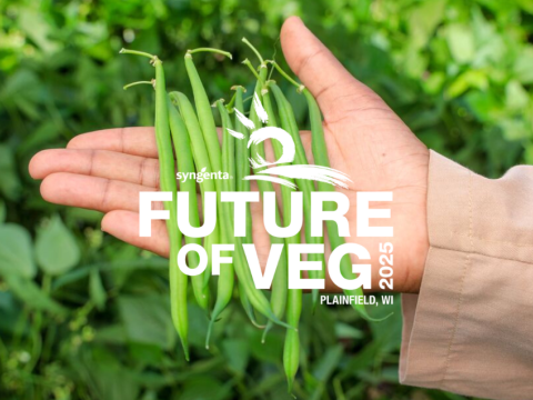 Garden Beans FOV