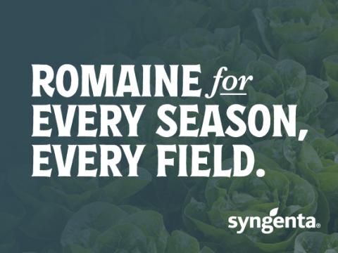 Romaine for every season, every field.