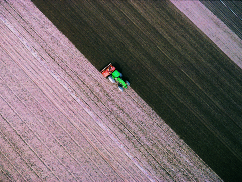 Soil