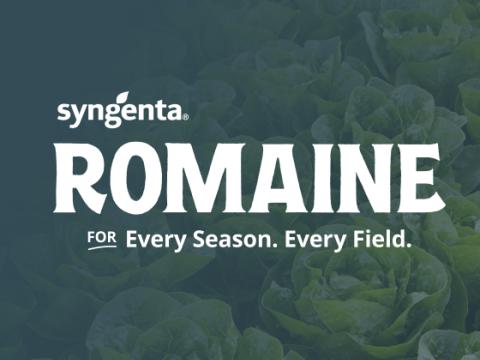 Syngenta Romaine for Every Season, Every Field logo