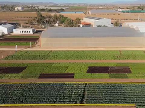 Demo Days Salads 2026