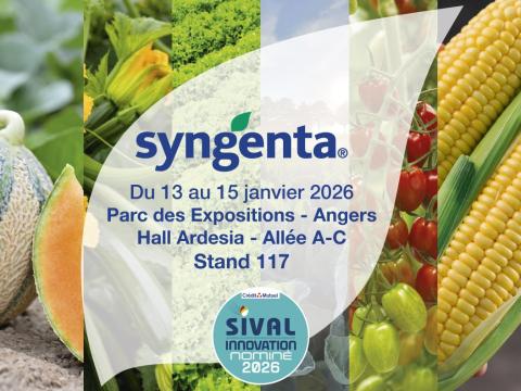 sival 2026