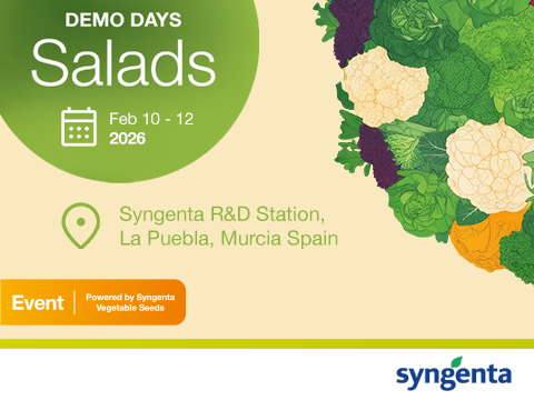 Demo Days Salads 2026