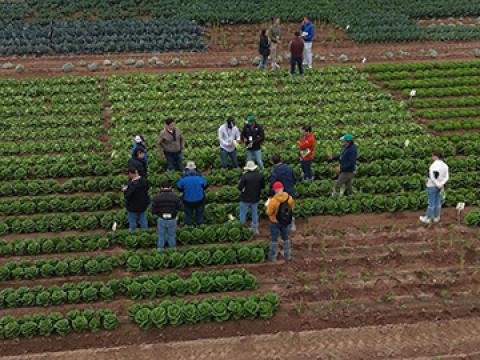 Salads Demo Days 2026