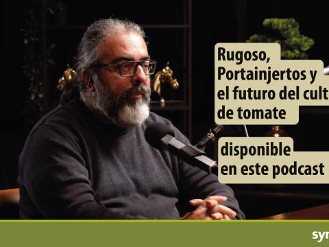 Rafael Salinas, de Syngenta, protagoniza un podcast  sobre  la evolución y los desafíos del tomate en Almería