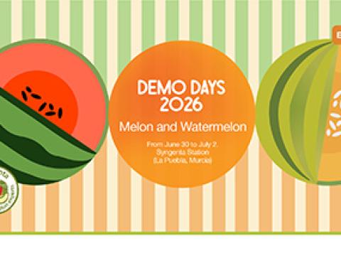 Demo Days 2026 Melon and Watermelon