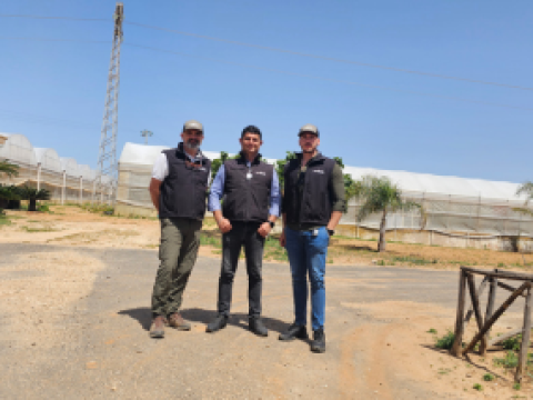 sicybelle-syngenta-responsabili-Sicilia