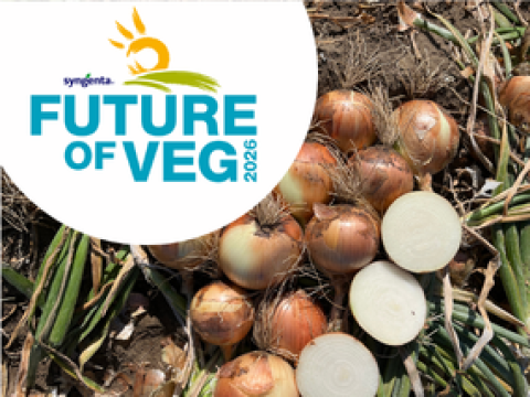Future of Veg logo over a pile of onions, some sliced open