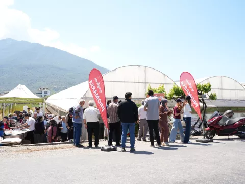Promarsa ile Erken Bahar Tane (Beef) Domates Segmentinde Güçlü Performans