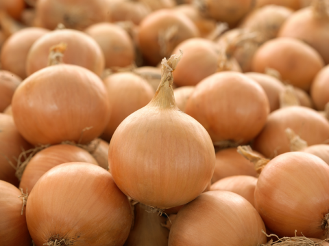 promotion_onion