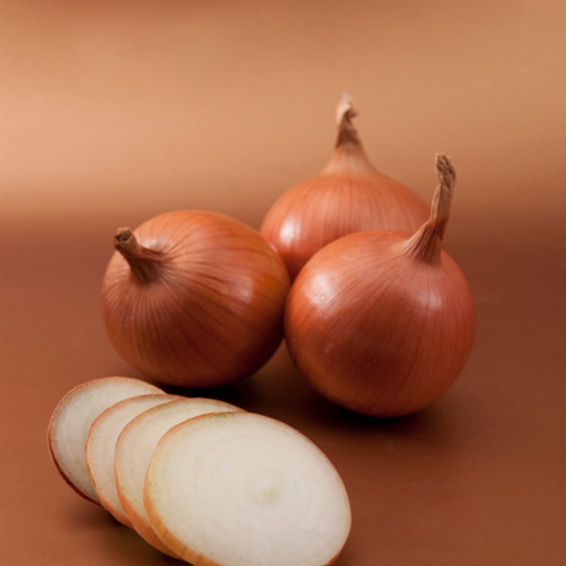 webimage-Onion-Bosko-jpg.png