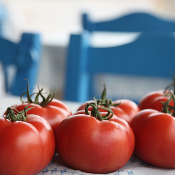 webimage-Tomato-Indeterminate-TORRY-Greek-Salad-3.png