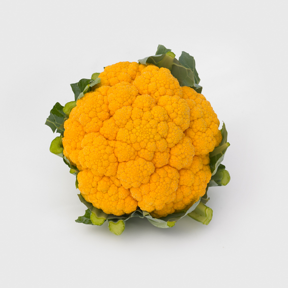 webimage-Clementine_SGC8209_NL_Cauliflower_2019-3-jpg.png