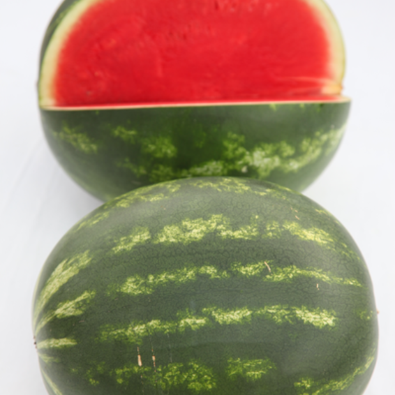 webimage-Watermelon-Seedless-FASCINATION-Greece-1.png