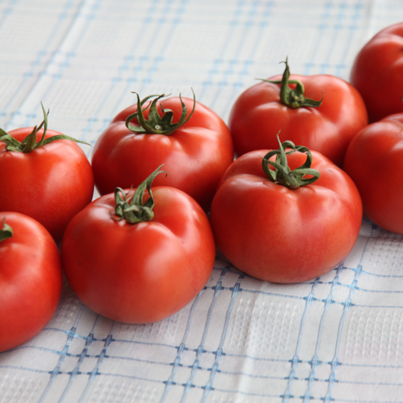 webimage-Tomato-Indeterminate-TORRY-Greek-Salad-4.png