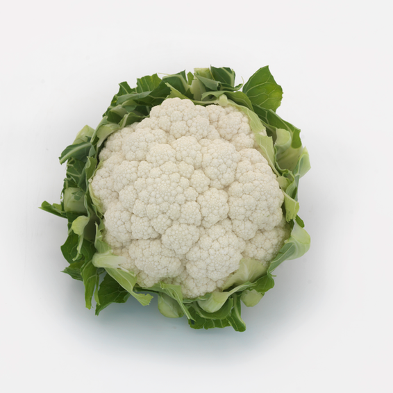 webimage-Cauliflower-Clasic-SGC3143-14770.png