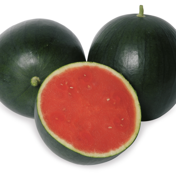 webimage-Watermelon-Dorin-RWT8212.png