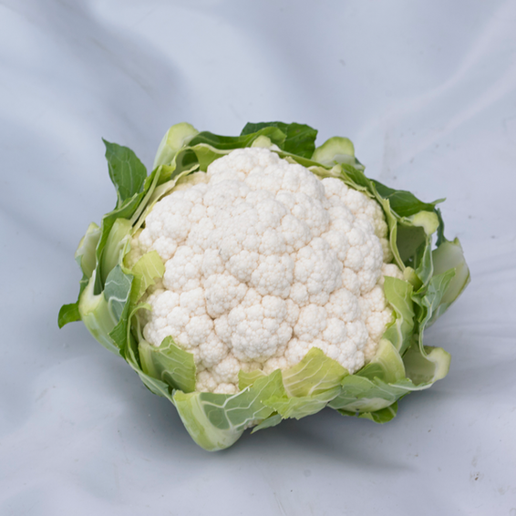 webimage-Kamino_Cauliflower_Cauliflower_2019-jpg.png
