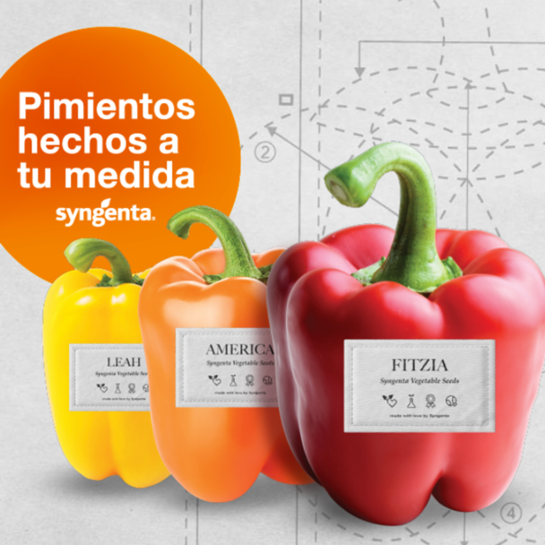 Pimientos Hecho a tu Medida