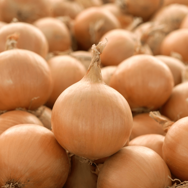 promotion_onion
