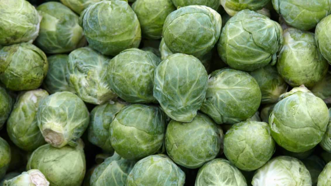 webimage-Marcantus_SGB1666_NL_Brussels-Sprouts_2018-3-jpg.png