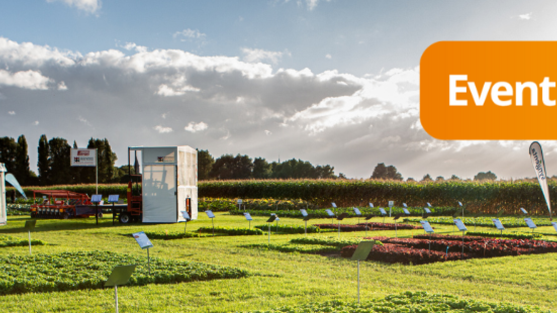 Fields of Innovation