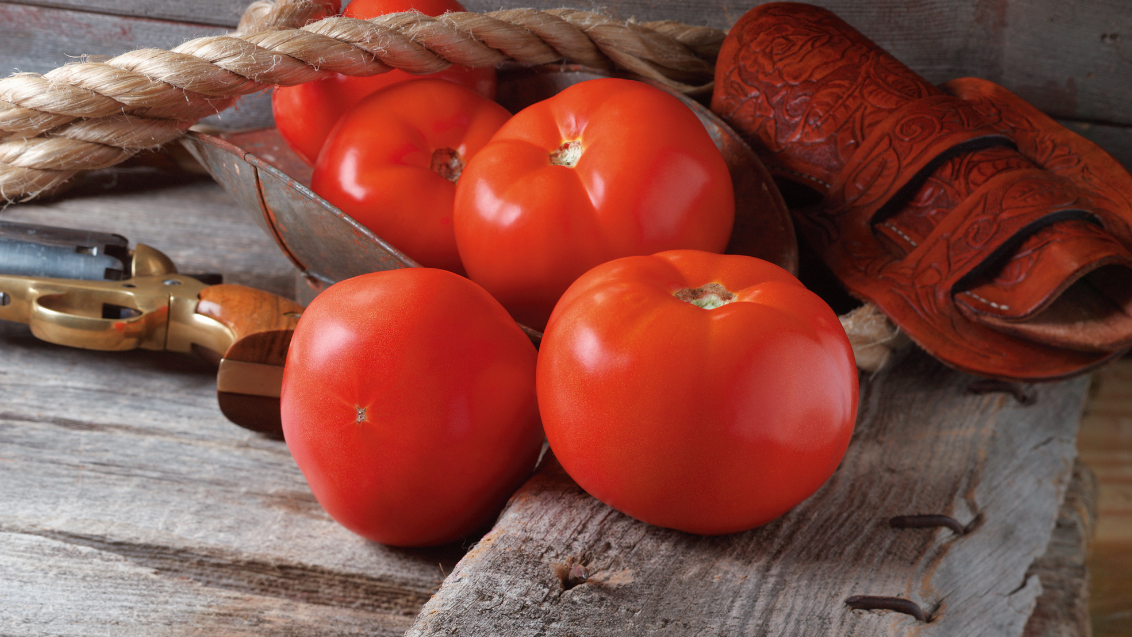 Western Tomato full width