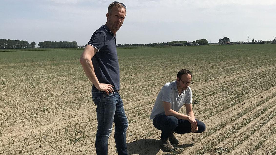 experts in field