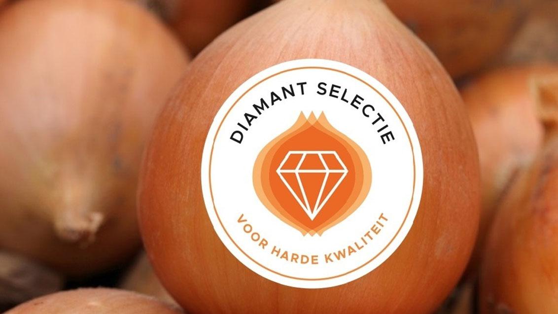 onion banner