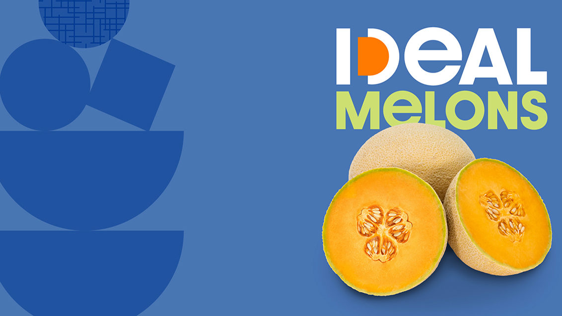 Ideal Melons 2023