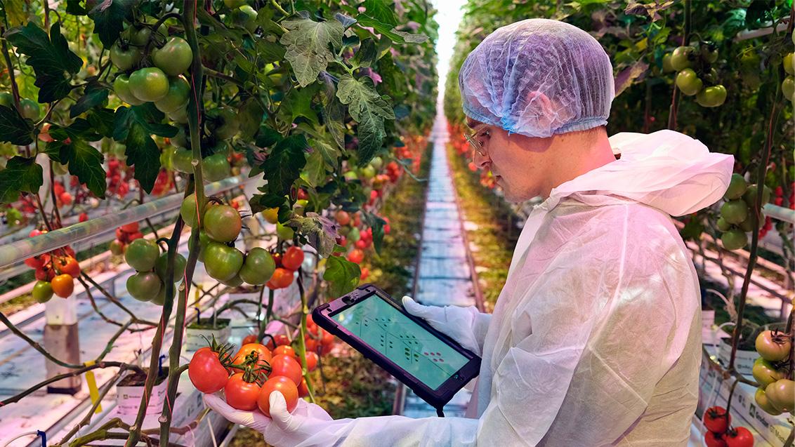 syngenta-source_1132x637