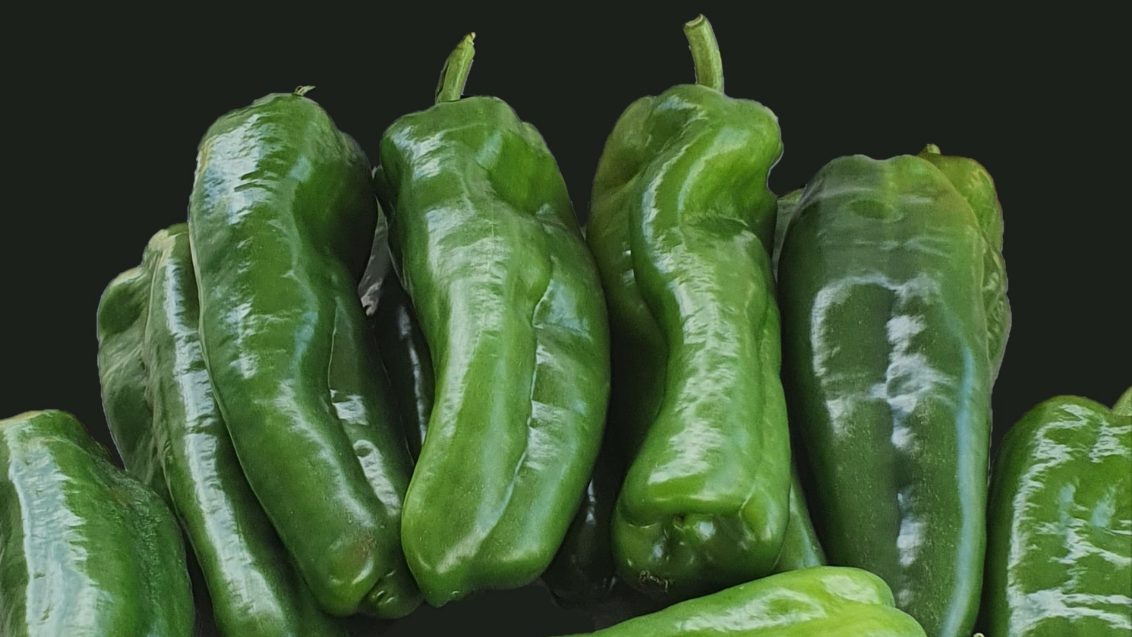 home_banner_-_reyes_