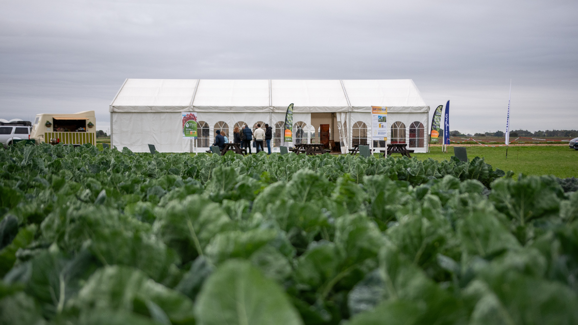 UK Demo Days 2024