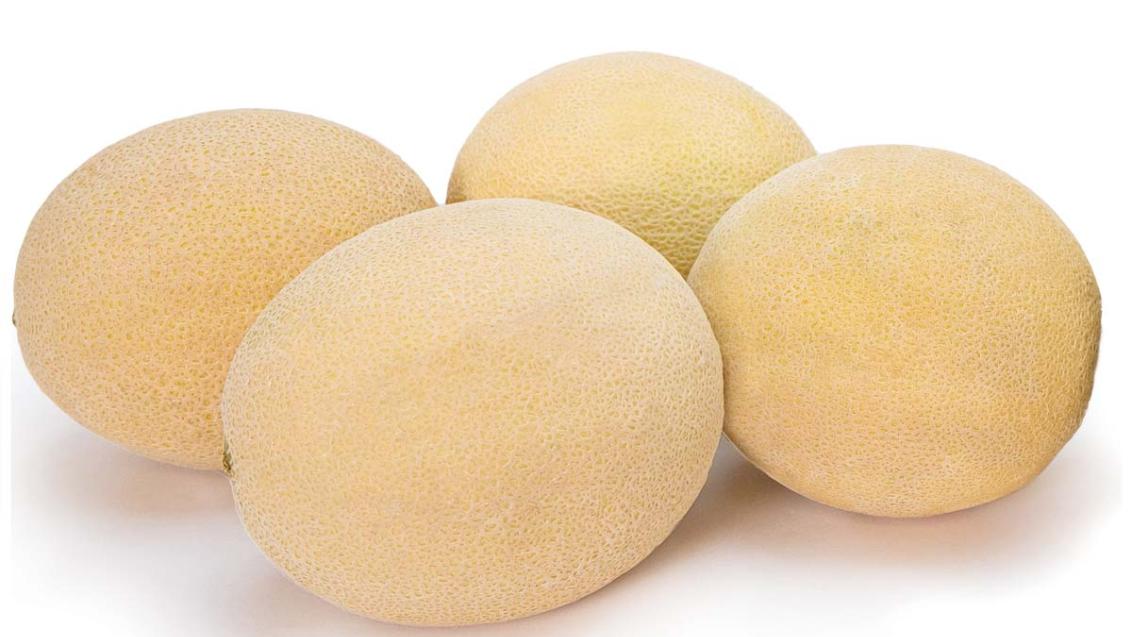 melon_comparison