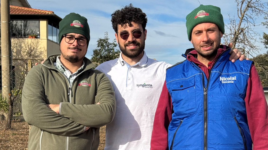 Saltalamacchia-pomodoro-da-industria-redix-Syngenta