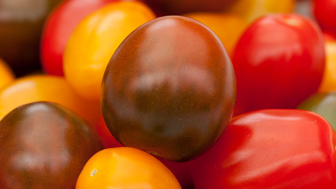 alle_kleuren_snoeptomaten_1132x637