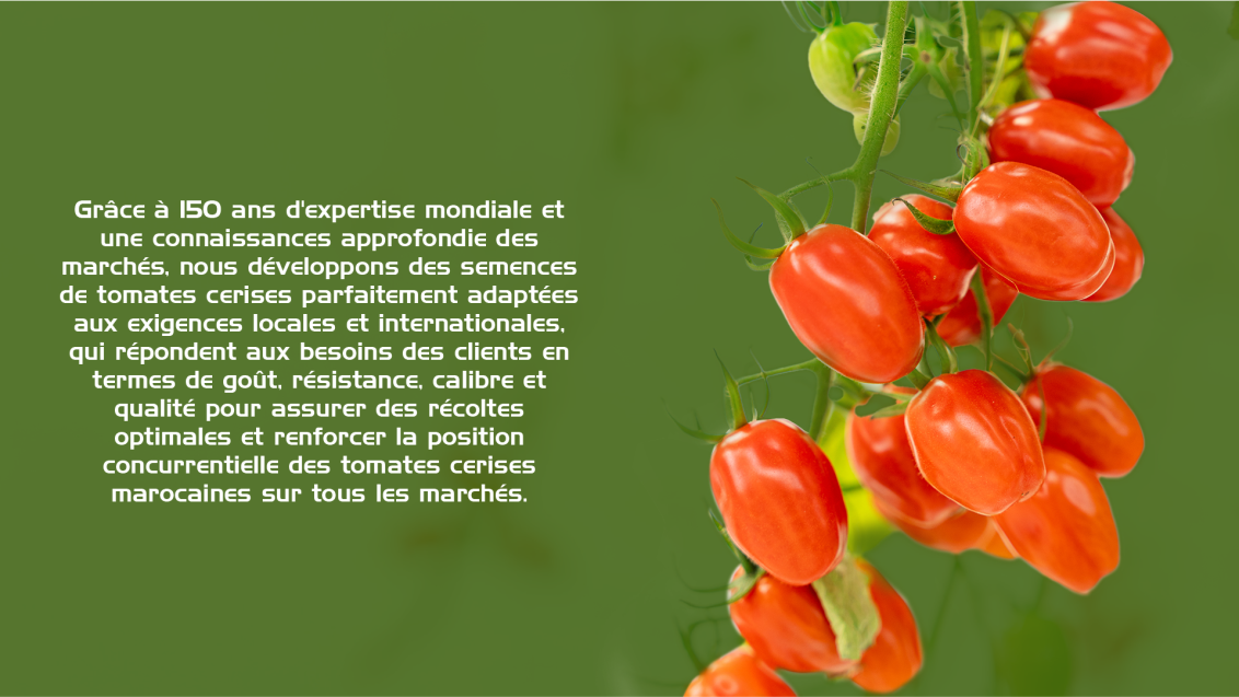 Tomate