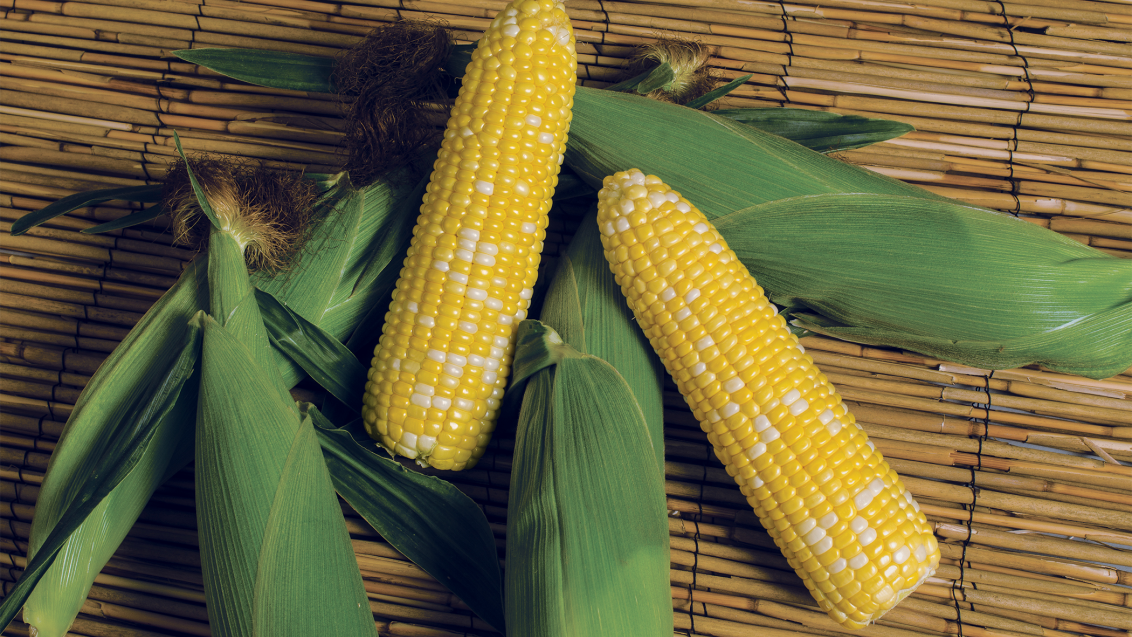 Cabo Sweet Corn
