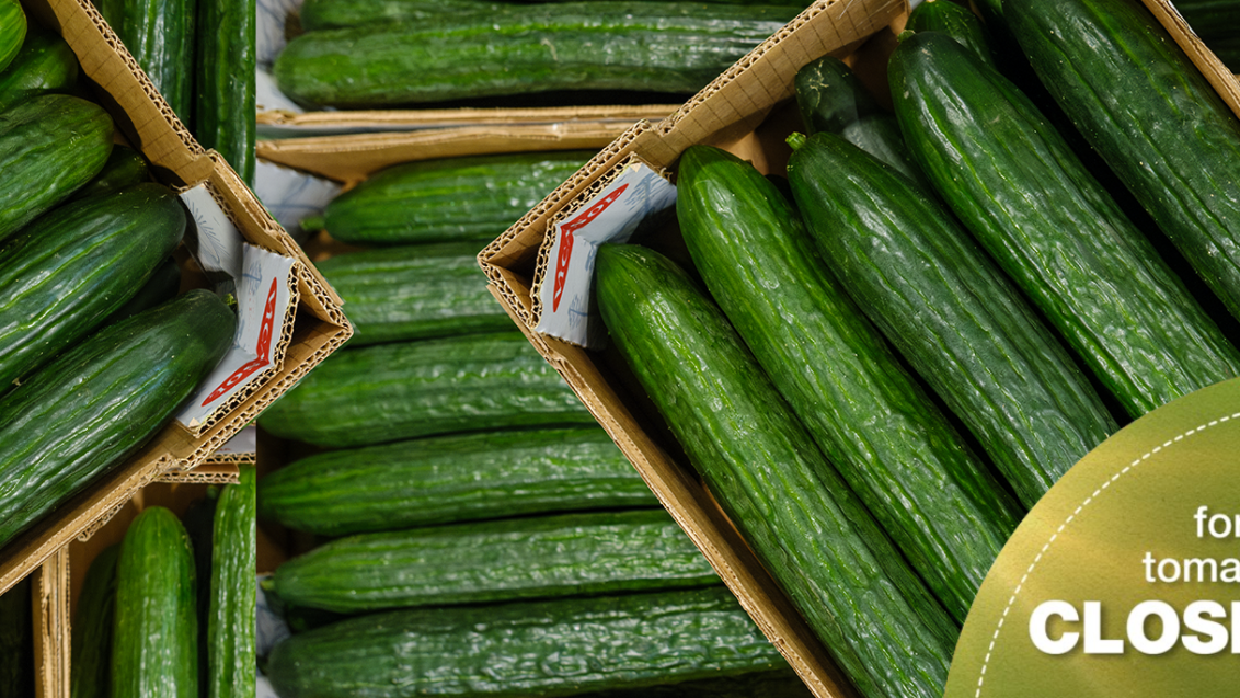 Banner Cucumbers