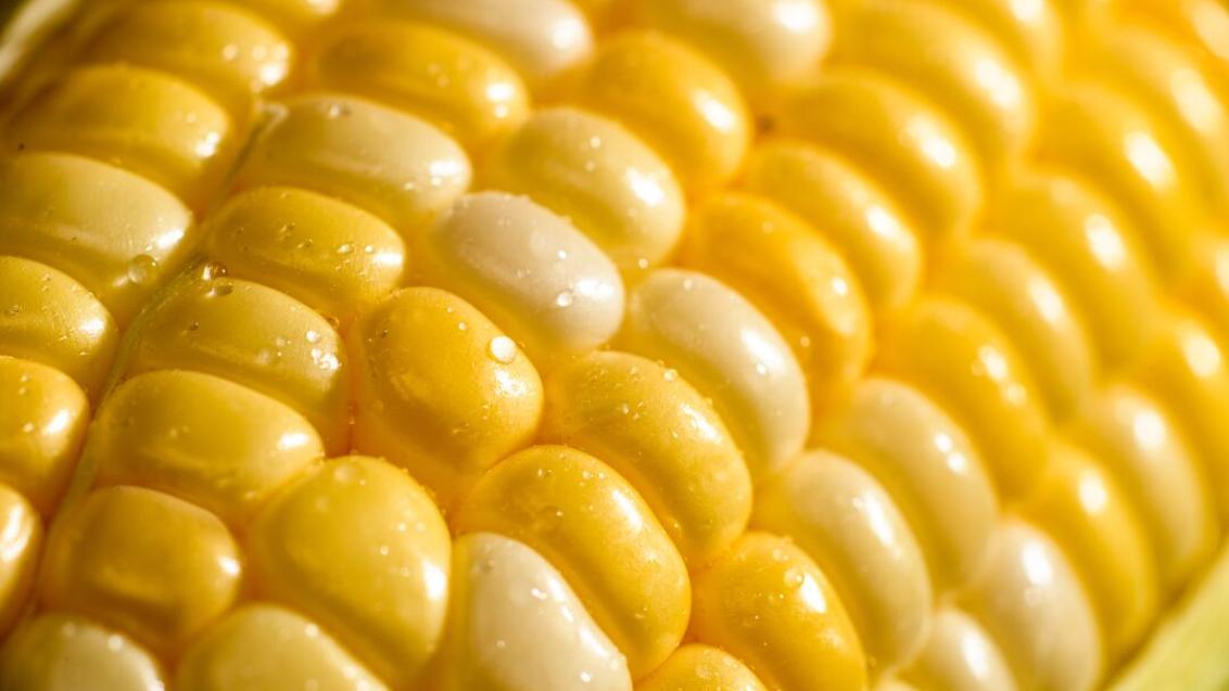 Légumes d'industrie
