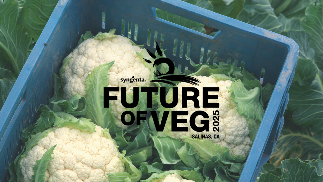 FOV Salinas Cauliflower