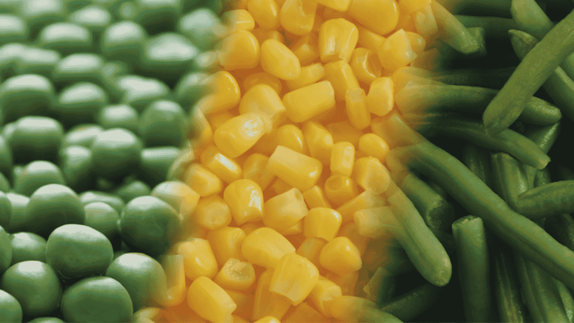 Sweet Corn Processor Page Syngenta
