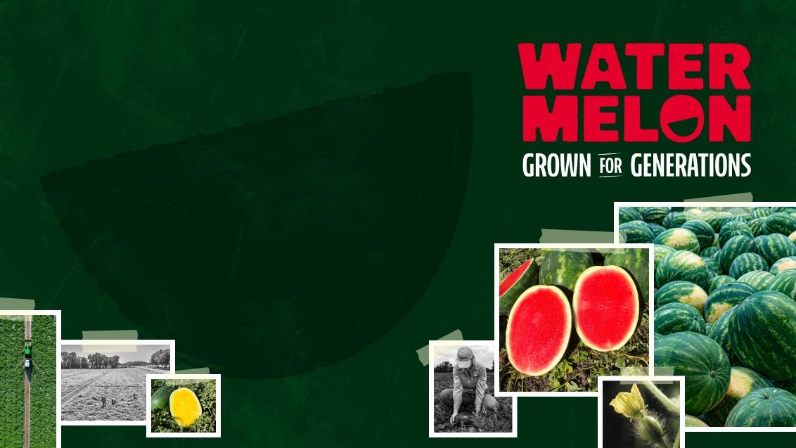 Grown for Generations Syngenta Watermelon Page
