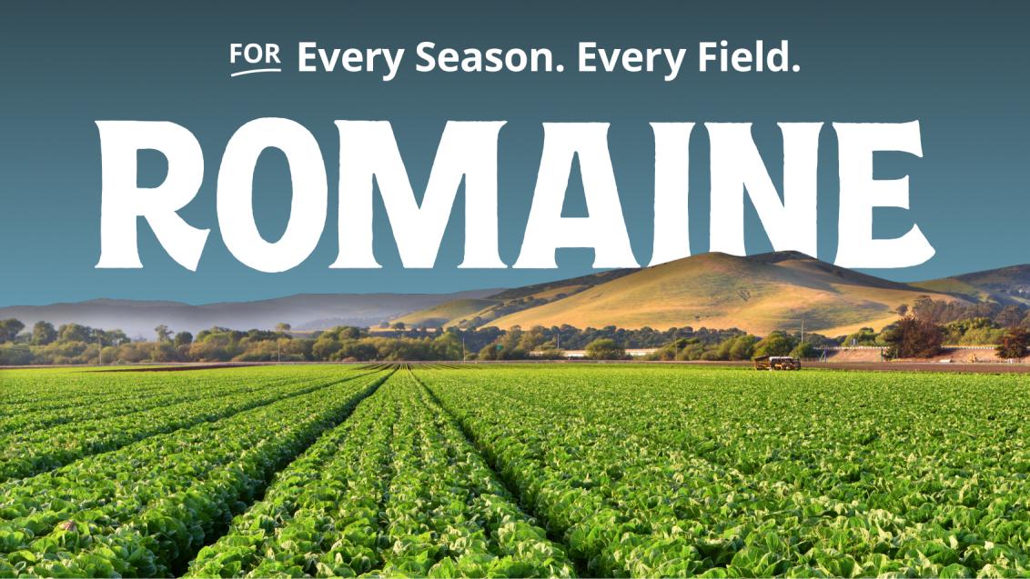 For Every Season, Every Field. Romaine Lettuce.
