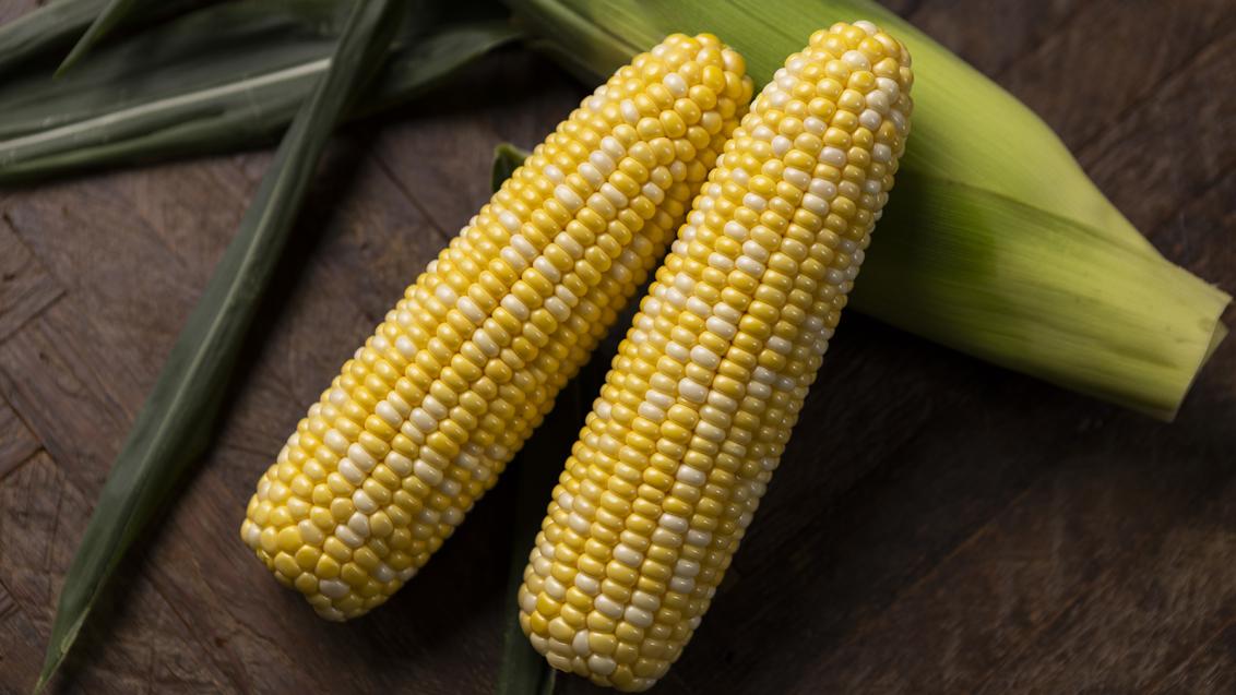 Patron Sweet Corn