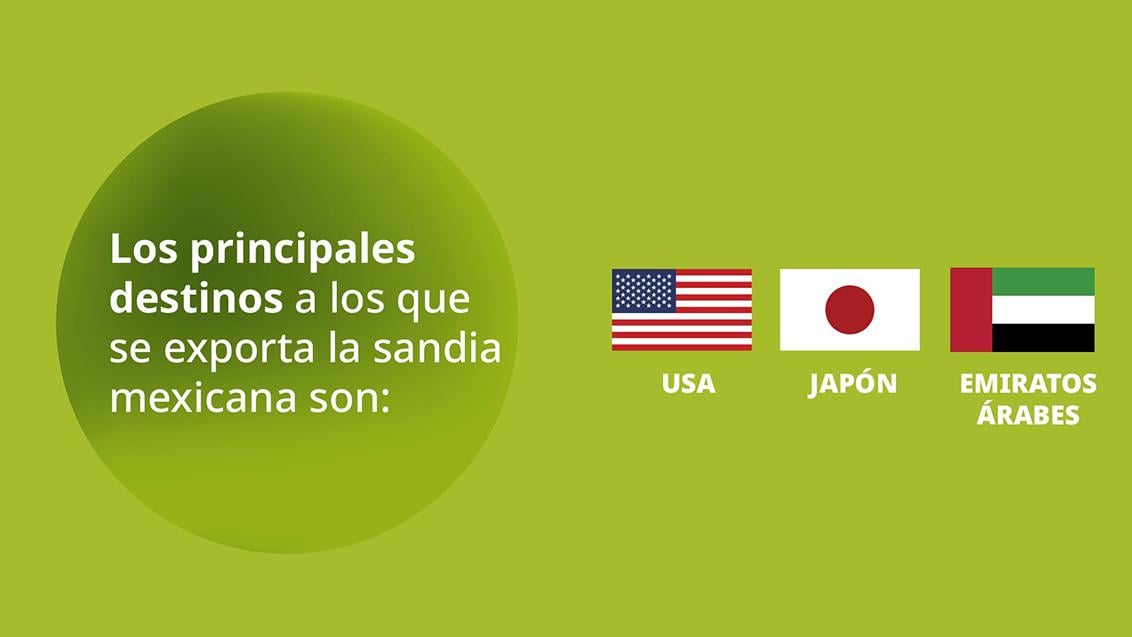 banners_sandias_1.jpg