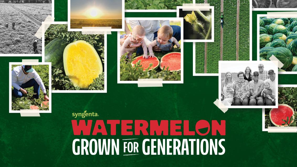watermelon collage