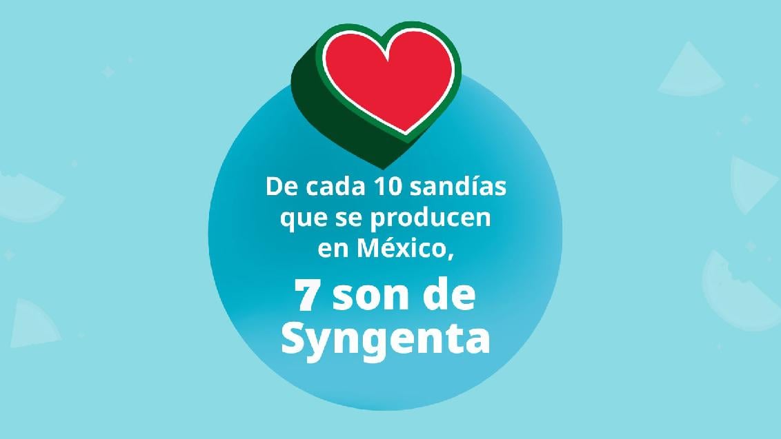 Sandías dato