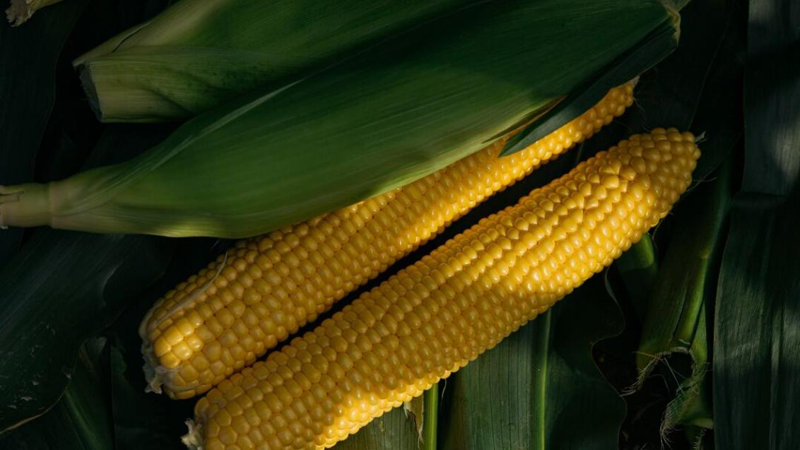 Sweetcorn