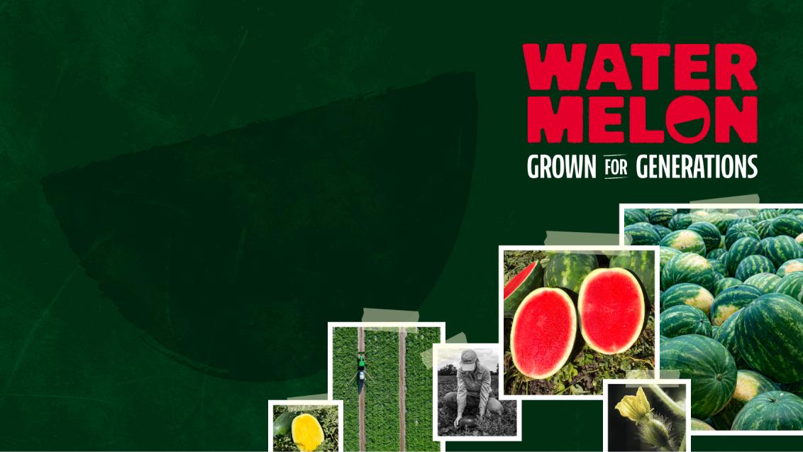 Watermelon: Grown for Generations 2026 | Syngenta Vegetable Seeds US